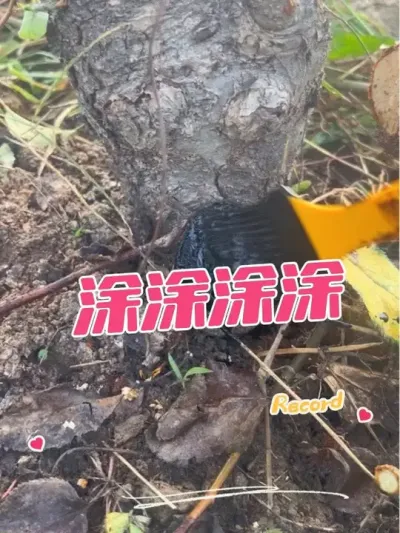 ＾޼˿ϺҪ ͿͿͿ#޼ #޼֦