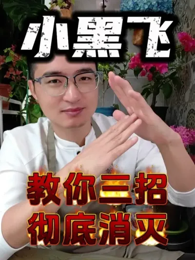 Сڷɽ“” #  #Сڷ  #С