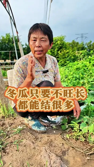 ˿ϹֻҪܽ# #ũ #߲ #߲ݪֲ #ݪֲС @DOU+С @@С