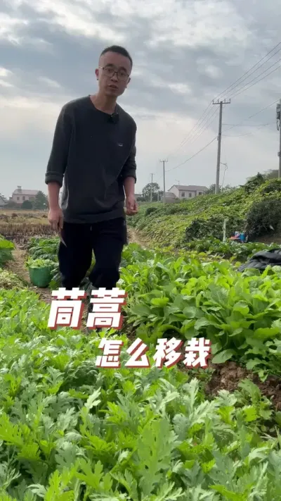 ôԳɻ#ֲС #ͥݪֲ #ݪֲС #ֲ #ѧֲ