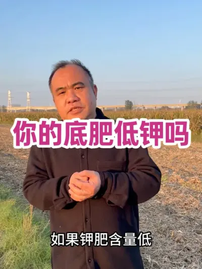 ĵ׷ʵͼ Ҷũʩ߼ضˮܷЧӯڱĲһ˳΢Ԫطʣ#ũҵݪֲ