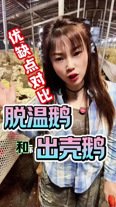 ¶ͳǶ죺ƴ# ##ũ崴ҵֳ