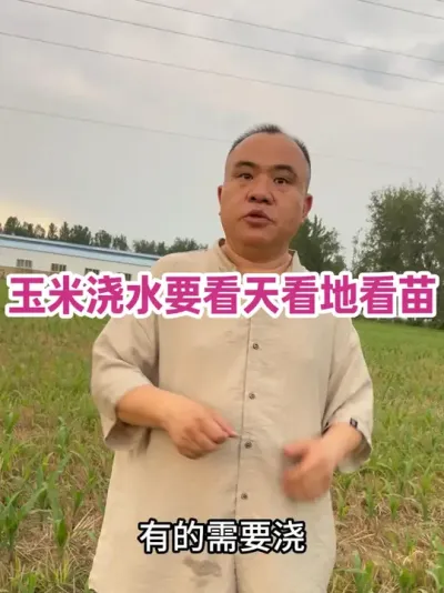 ׽ˮҪ쿴ؿ ԭգ 6 ҶǰԺĥ6  10 Ҷ翴ɾҶ11  15 Ŀ죩#ũҵݪֲ