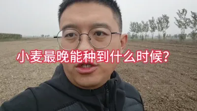 还多地里还是太湿，今年小麦最晚能种到什么时候？ 