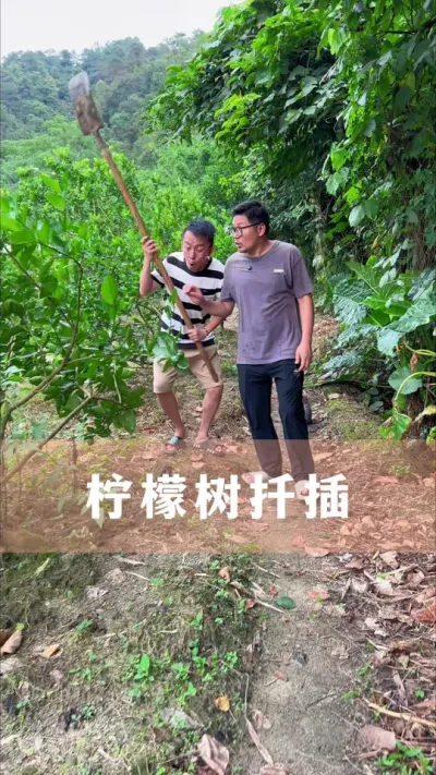 ������Ǥ������#������ֲ #����С֪ʶ #������������