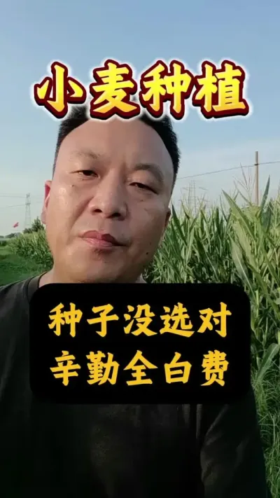 ûѡȫ״#Сݪֲ #С