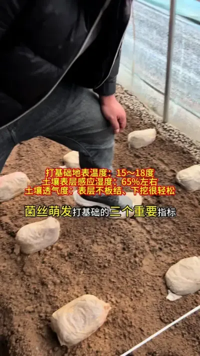 Ǿ߷ڹƾ֤صаͨ #Ǿ #Ǿݪֲ #Ǿݪֲ # #