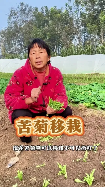 ڲ#ũ # #߲ #ݪֲС @DOU+С @DOU+ @С