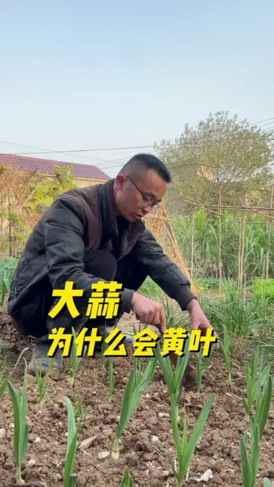 ΪʲôҶ#ֲС #ݪֲС #ֲ #ѧֲ#עһѧֲ