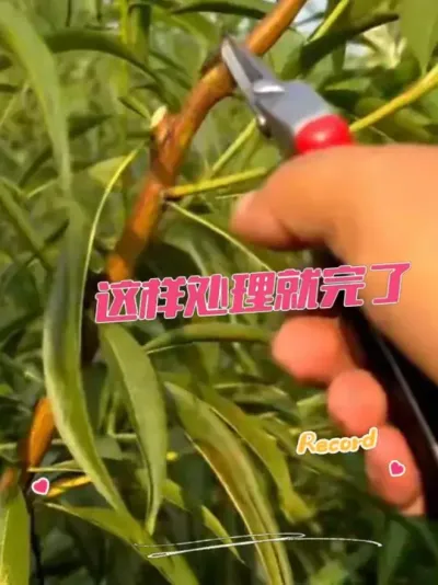 ޼о֦紦óͷ #޼ #޼