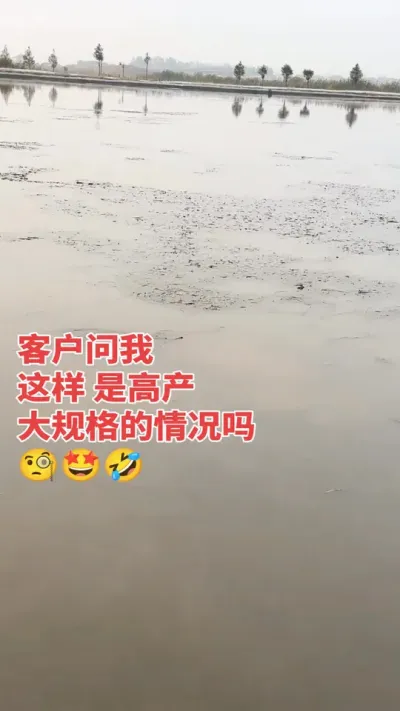 зתʲôԵԭںзʣ#բз#зֳ#˻բз #з #բзֳ