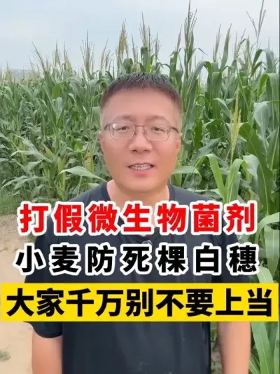 ΢СðҪƭ #Сݪֲ #΢ #Сݪֲ #С߲ #С @̷ũʣ