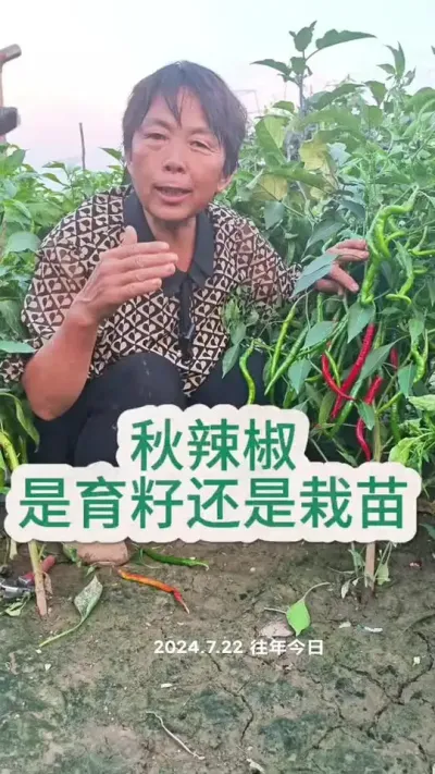 ֦֦# #߲ #߲ݪֲ #ũ #עһѧֲ @С @DOU+С @DOU+