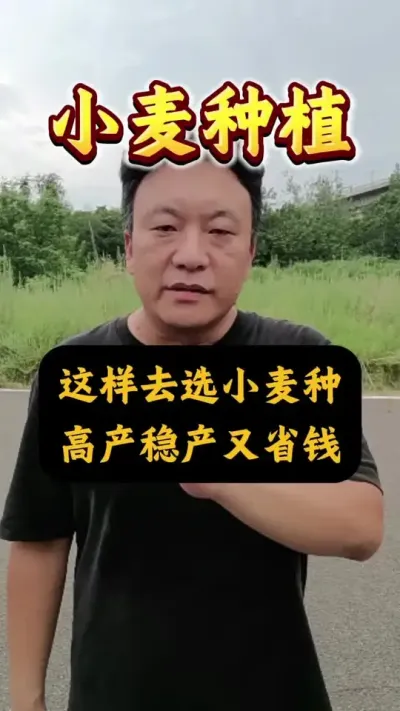 Żѡ߲ȲʡǮС֣#Сݪֲ #С