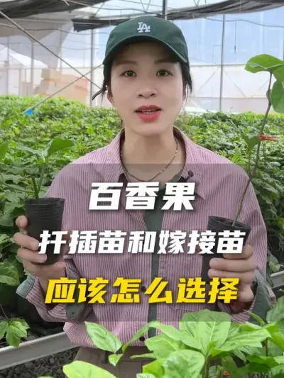 ޽Ǥʲôĸ # #ݪֲ # #ũҵ #ũ