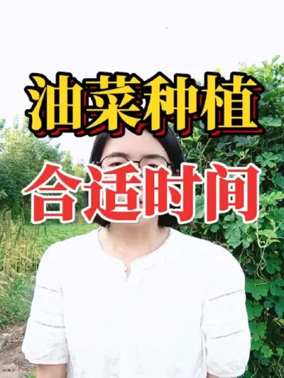 Ͳʲôʱݪֲ2025Ͳݪֲʱһο#ũ #ũҵݪֲ #Ͳݪֲʱ #Ͳݪֲ #2025ũ