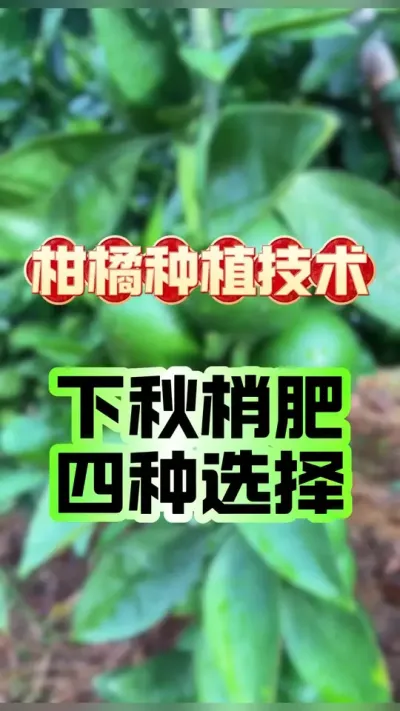 ҷַϿ˭ʺ#ݪֲ #ٹ #ҷ #ũҵݪֲ #ũ