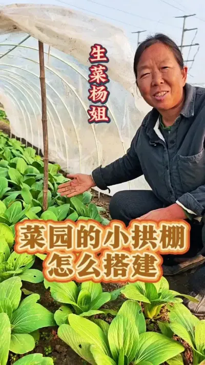 ԰Сô СĴҪ#԰ #СҪ #߲ݪֲ #