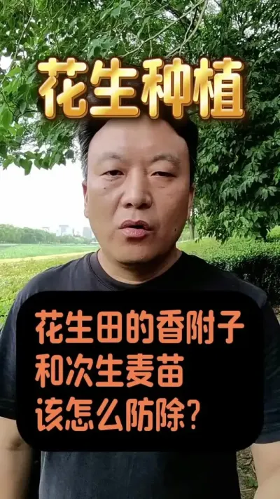 ��������#����ݪֲ�������� #�������ݼ�