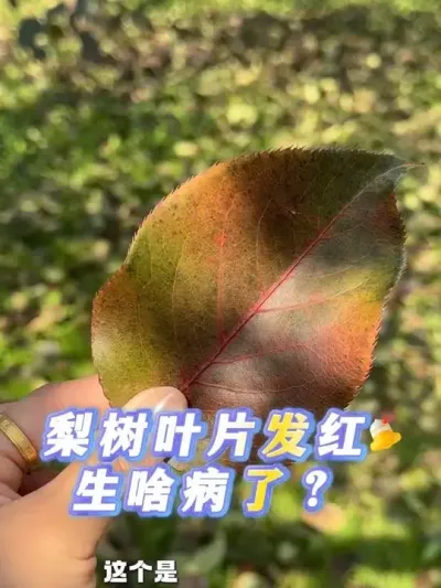 ＾ҶƬ ǲ#ѧũ #ũũ # # #ũ