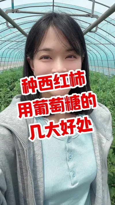 #西红柿种植 #大棚西红柿 #葡萄糖钛 #记录我的种植生活  点个关注 互相学习吧@抖音小助手
