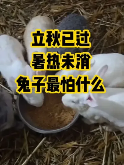 ѹδʲô#ũ#ֳ#