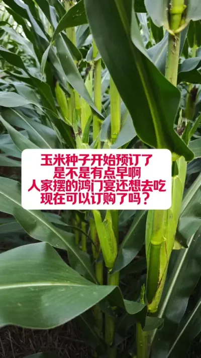 ���ڶ������������ǲ����е������ #ũҵݪֲ #����ũҵС֪ʶ #�������ӵ���ѡ #֧����ũ������ũ #������ũ��ϵ��ũ