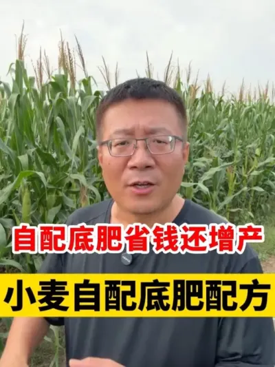 С׷ʼʡǮ߲С׷䷽ #Сݪֲ # #С׷ #С߲ #Сݪֲ