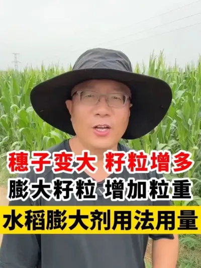 ˮˮ׼ȷ÷ #ˮݪֲ #ˮݪֲ #ˮ߲ #ˮ #а鴼