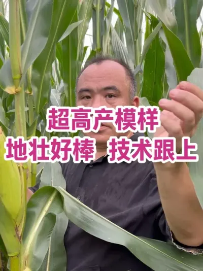 ߲ò ׳ð ո 619ղûˮ78һ˿ô#ũҵݪֲ