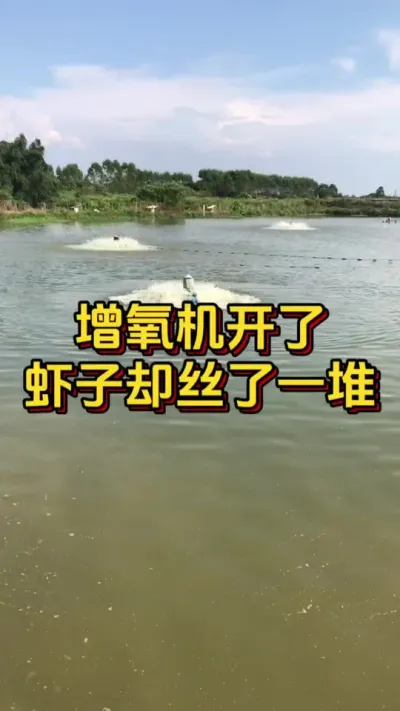 增氧机开了，虾子却死了一大堆#养虾人 #水产人 #南美白对虾 #嘉骏集团 #嘉骏新水产