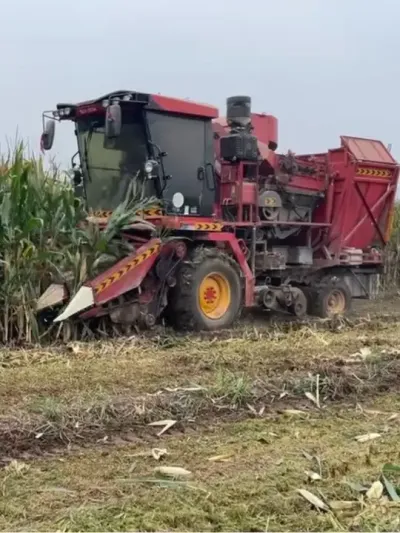 #ִũҵе #ũ #ո