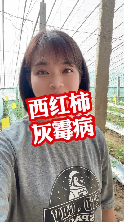 ##ù#ݪֲ##¼ҵݪֲ Ҫ͵СƳ@С