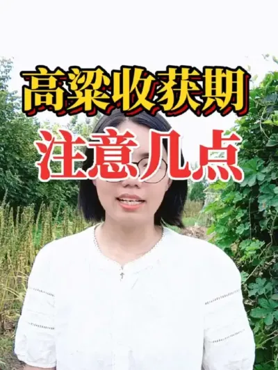 ջշע¼#ũ #ũҵݪֲ # # #2025ũ