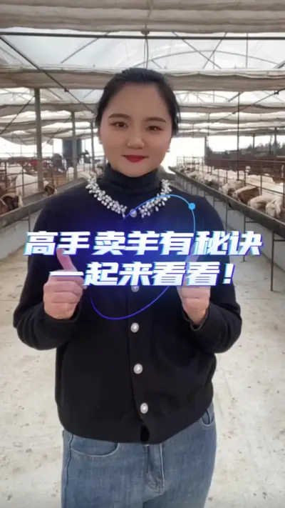 高手卖羊的秘诀#养羊 #养羊人 #养羊技术 #养羊创业
