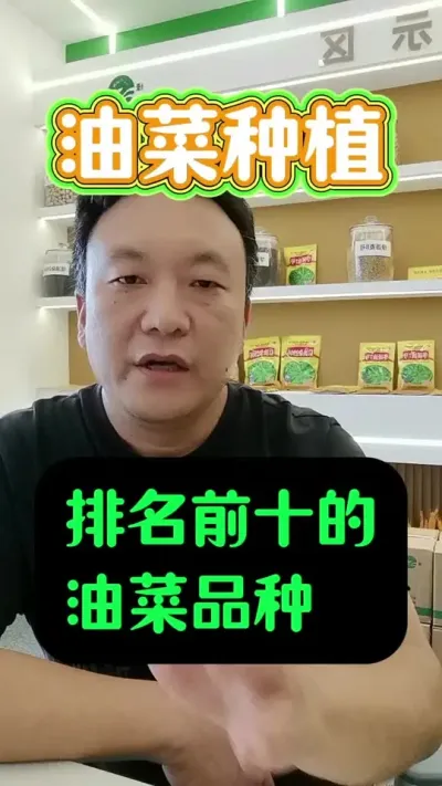 ҹǰʮͲƷ#ͲƷ #Ͳݪֲ