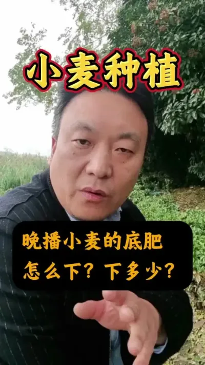 Сĵ׷ô¼#Сݪֲ #С #С׷