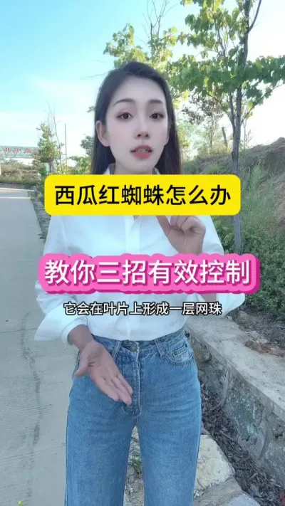 #������ũ #ݪֲ���ϴ��� #������ũ��ũ