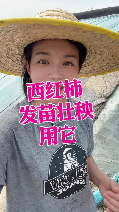 #ݪֲ #ù#׳#ݪֲ#΢ µ@С