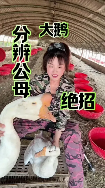 ����������������ԭ��ͨ������Ҳ�����ֹ�ĸ#������#�������շ��� #����#ũ�崴ҵ��ֳ