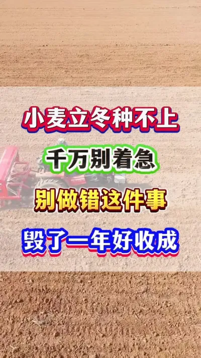 ǰСֲϵż #Сݪֲ #С #С߲ #С #ũҵݪֲ