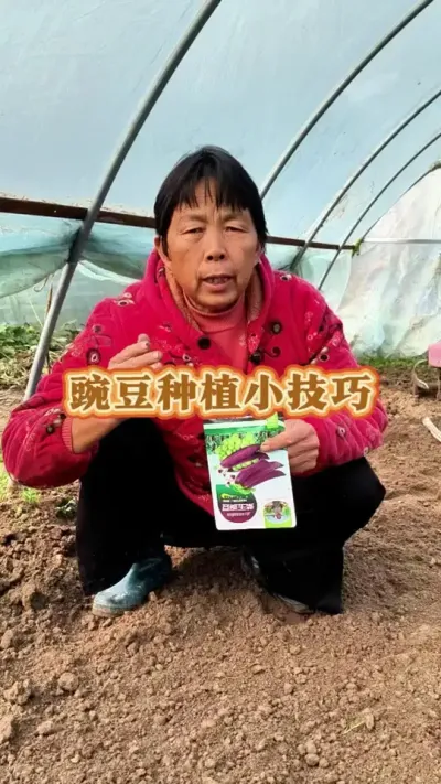 㶹ݪֲС#ũ #㶹 #߲ #ݪֲС #㶹ݪֲ @DOU+ @DOU+С @С