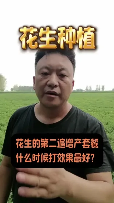 ĵڶײʲôʱ#ݪֲ #ײ