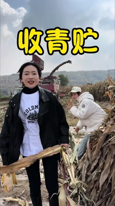 ˣʱ˳βظӲƳٵʮβЧԲûǴʵʧҲʵ#¼ҵũ #׋O