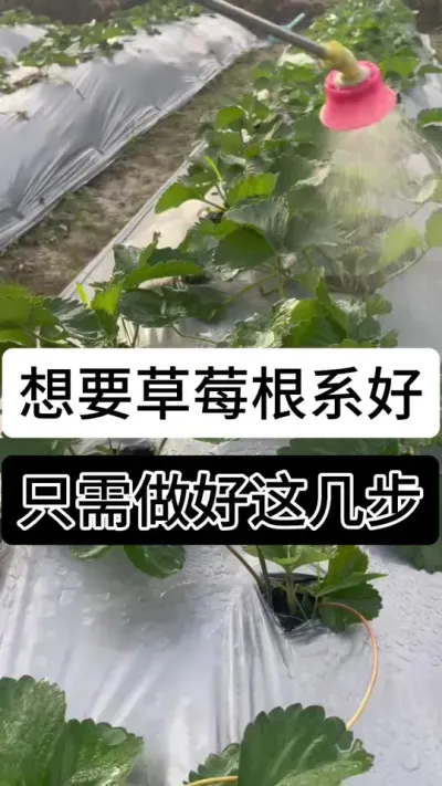 9888��˹ά��˹(�ɷ�)���޹�˾-�ٷ���վ