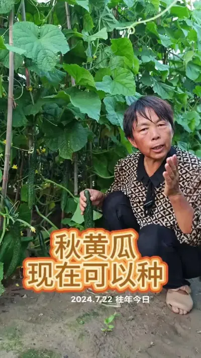 ûƹڿæ#ƹ #ƹ #ũ #߲ #߲ݪֲ @С @DOU+С @DOU+