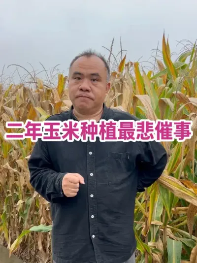 ݪֲ 2024ˣ2025˥ȫ븯ˣ粥֮ֹڴˣ#ũҵݪֲ