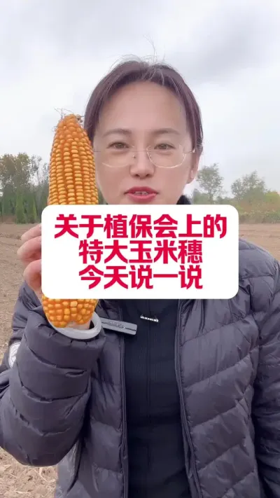 Ƕֳ #ũҵƹ #ũҵݪֲ #ũ֧ũ #ũ