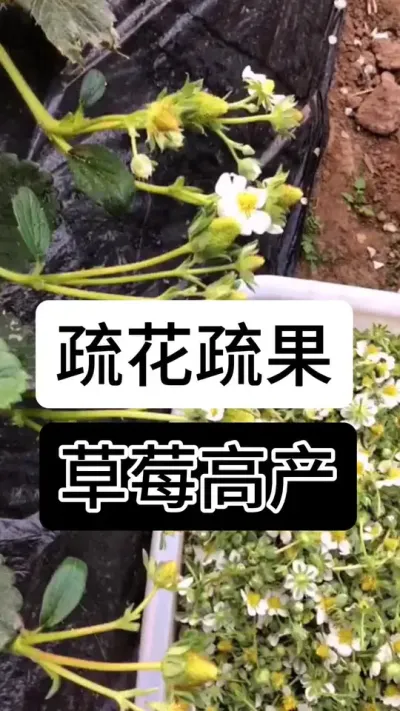 9888��˹ά��˹(�ɷ�)���޹�˾-�ٷ���վ