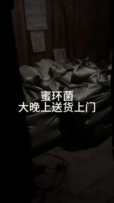 ۻ ɭԴۻۻСʱŵɽݪֲ#ũ崴ҵ #ݪֲ#ۻ@С